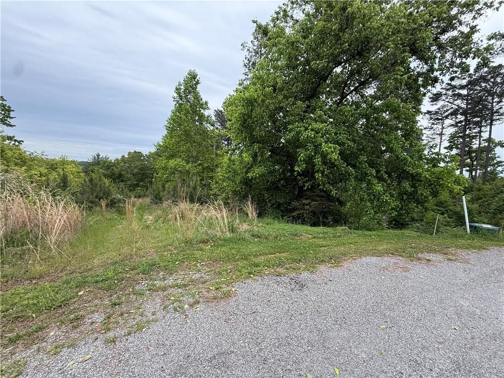 unimproved land for sale at 00 High River Crossing, Ellijay, GA 30540 — photo 2