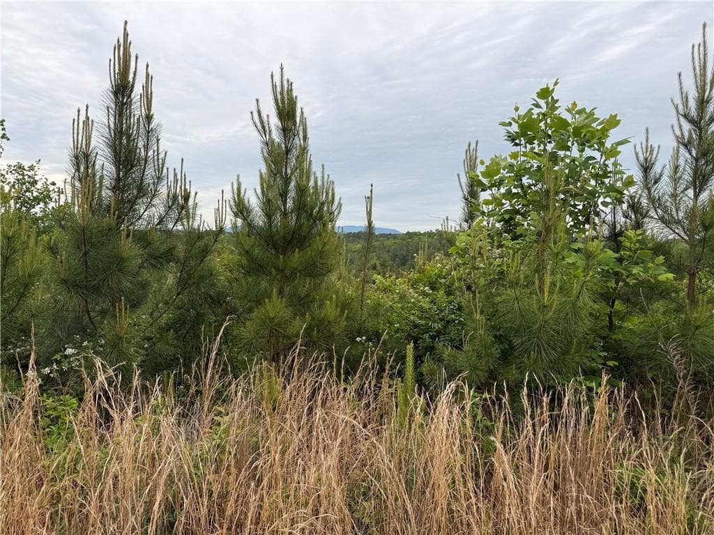 unimproved land for sale at 00 High River Crossing, Ellijay, GA 30540 — photo 3