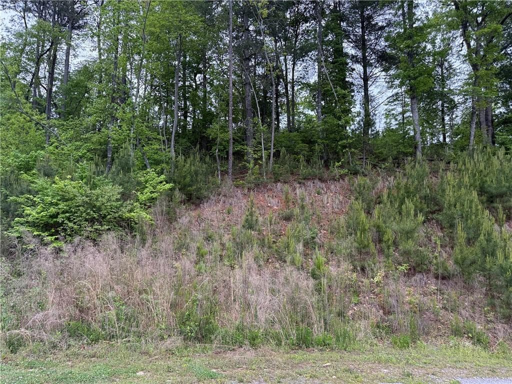 unimproved land for sale at 00 High River Crossing, Ellijay, GA 30540 — photo 4