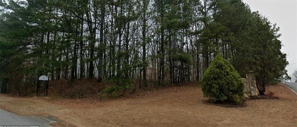 unimproved land for sale at 0 Holly Street, Canton, GA 30115 — photo 9