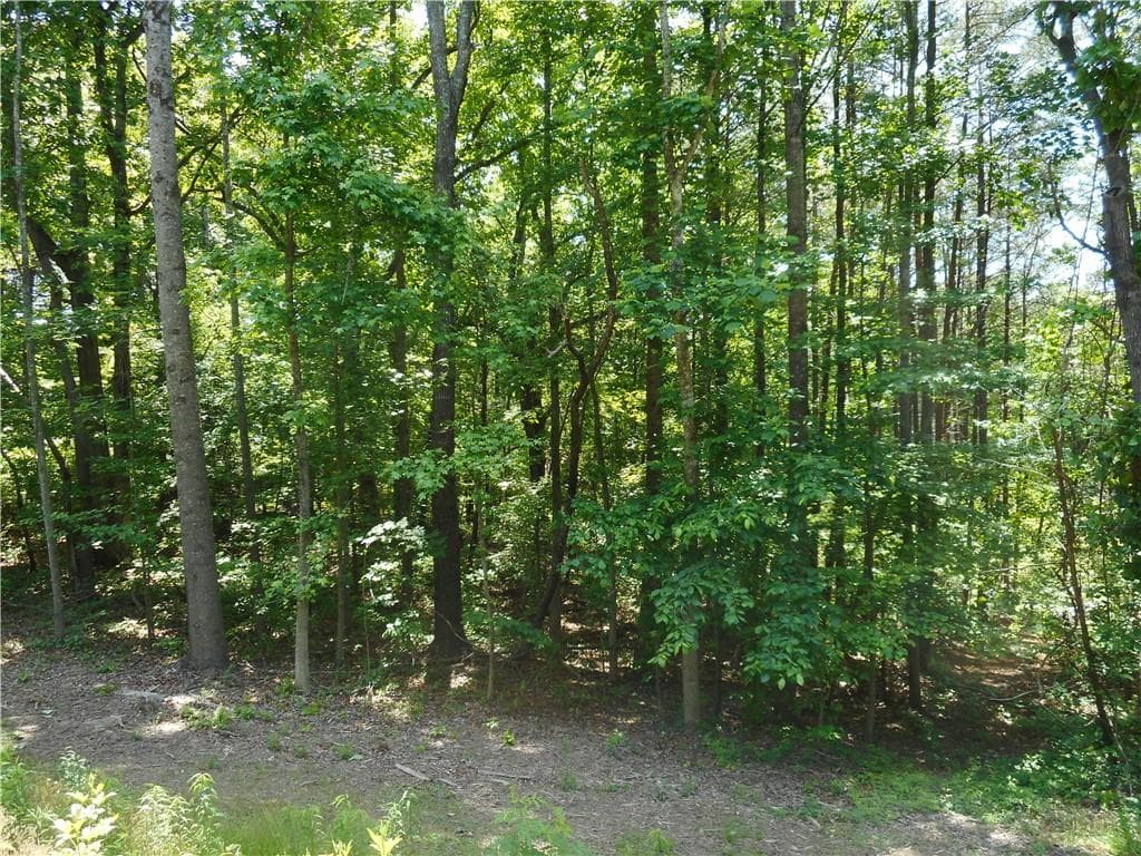 unimproved land for sale at 0 Holly Street, Canton, GA 30114 — photo 3
