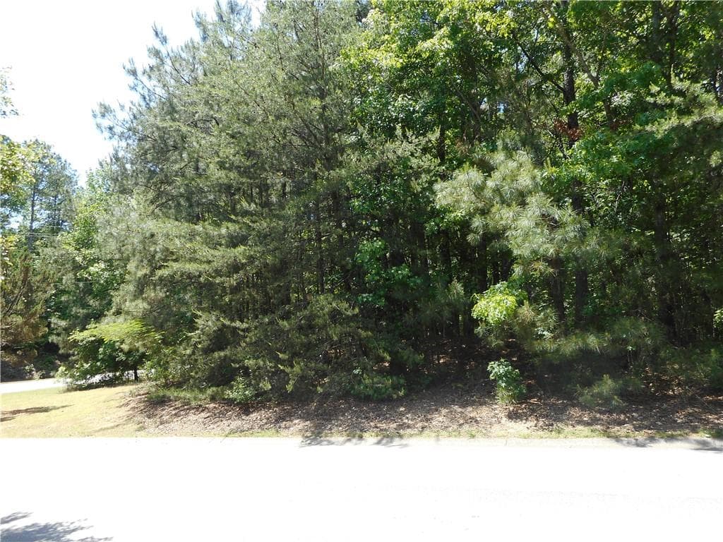 unimproved land for sale at 0 Holly Street, Canton, GA 30114 — photo 4