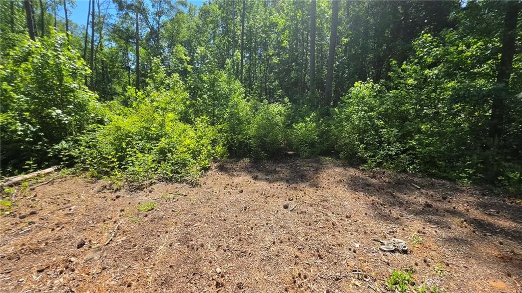 unimproved land for sale at 6099 Old Alabama Road, Austell, GA 30168 — photo 2