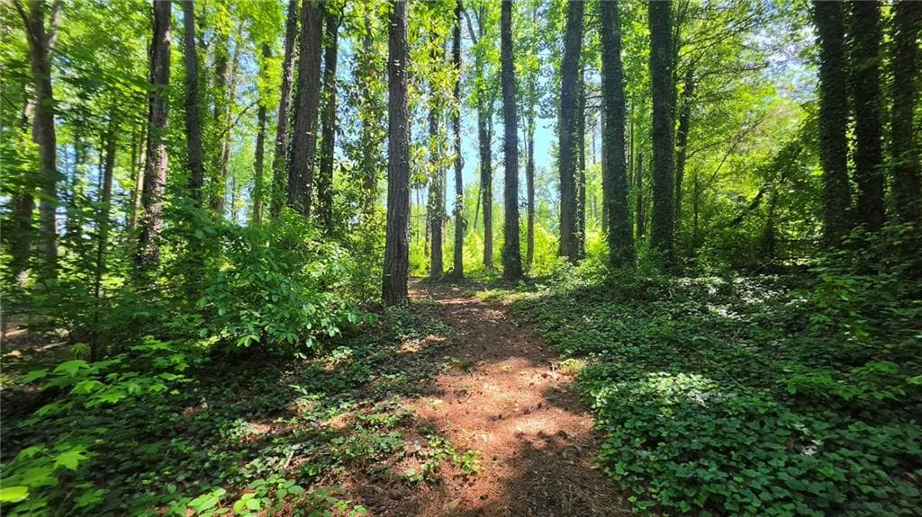 unimproved land for sale at 6099 Old Alabama Road, Austell, GA 30168 — photo 3