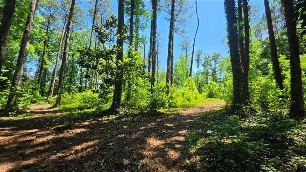 unimproved land for sale at 6099 Old Alabama Road, Austell, GA 30168 — photo 5