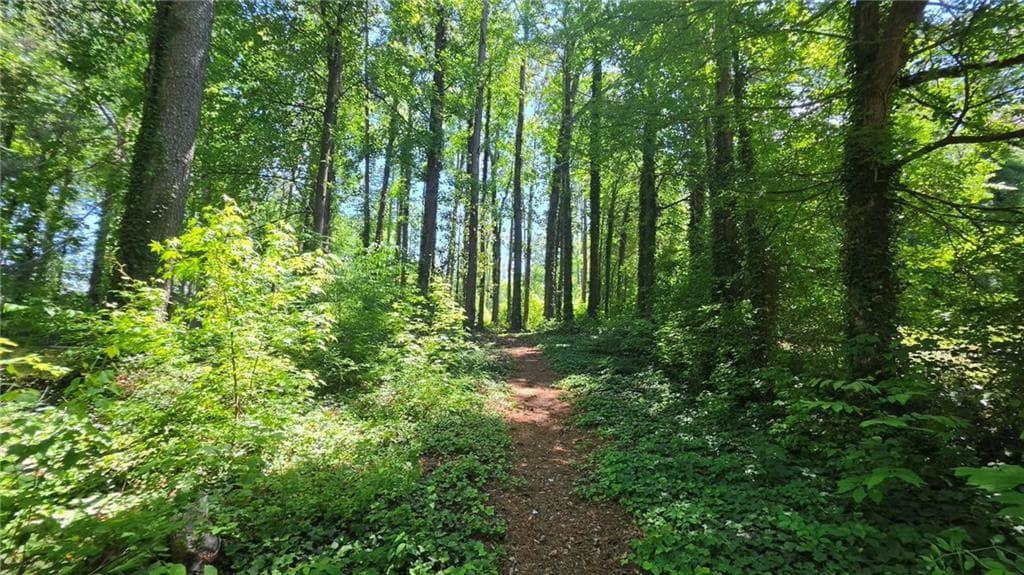 unimproved land for sale at 6099 Old Alabama Road, Austell, GA 30168 — photo 6