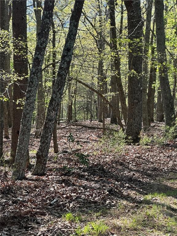 single family residence under contract at 141 Wood Fern Knoll, Big Canoe, GA 30143 — photo 6