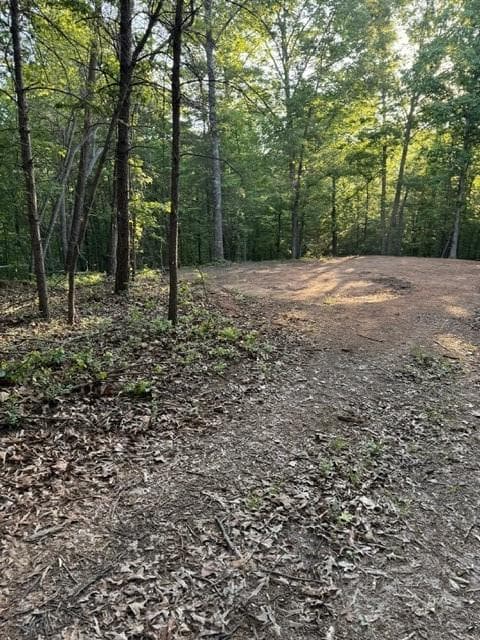 unimproved land for sale at 9180 Oliver Mill Road, Lula, GA 30554 — photo 3