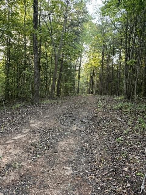 unimproved land for sale at 9180 Oliver Mill Road, Lula, GA 30554 — photo 4
