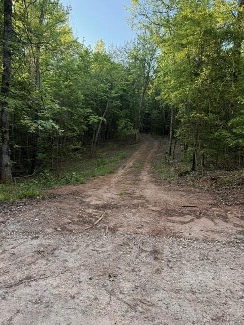 unimproved land for sale at 9180 Oliver Mill Road, Lula, GA 30554 — photo 5