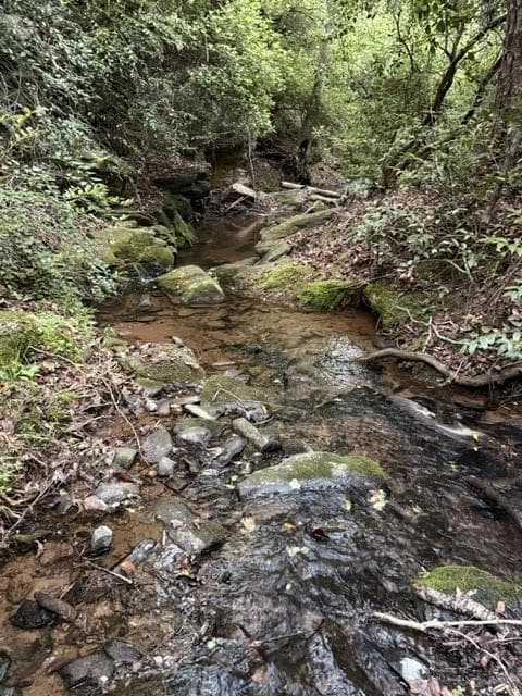 unimproved land for sale at 9180 Oliver Mill Road, Lula, GA 30554 — photo 6