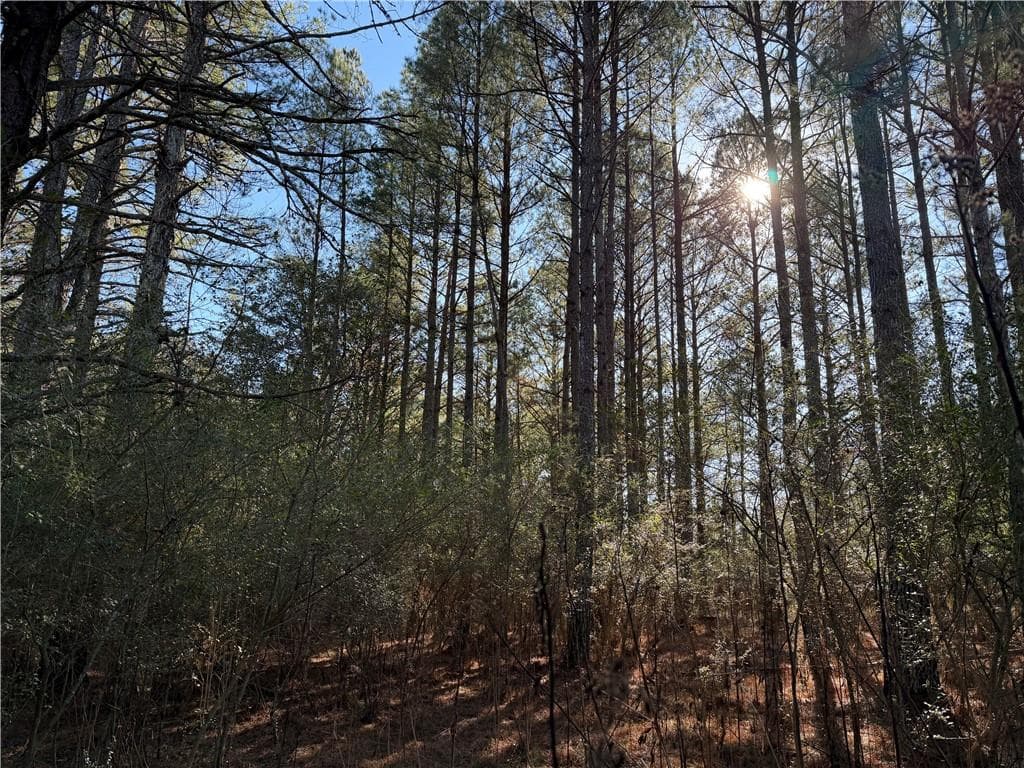 unimproved land for sale at 000000 Liberty Church Road, Ranger, GA 30734 — photo 2