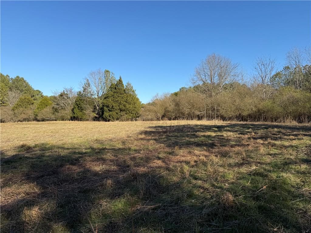 unimproved land for sale at 000000 Liberty Church Road, Ranger, GA 30734 — photo 3