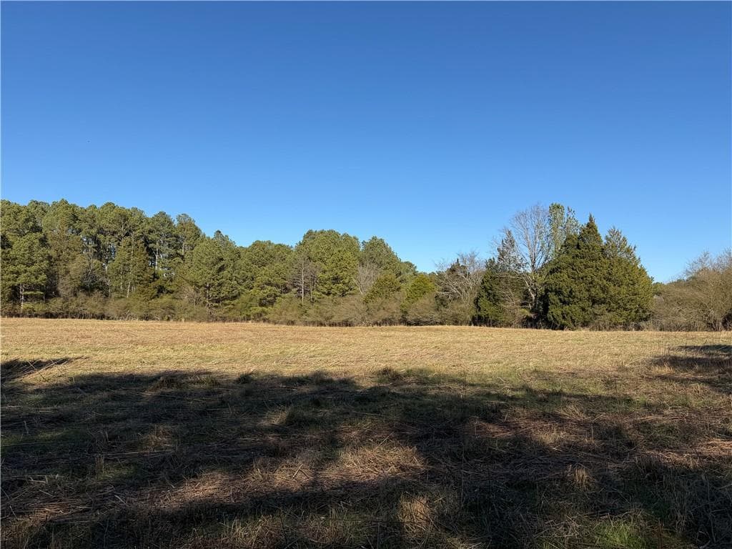 unimproved land for sale at 000000 Liberty Church Road, Ranger, GA 30734 — photo 4