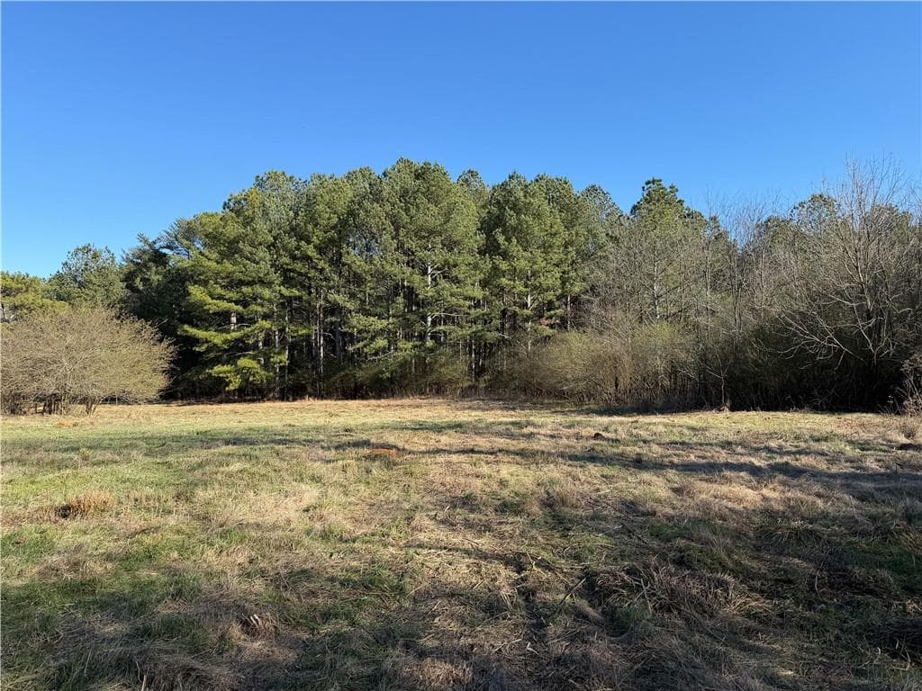 unimproved land for sale at 000000 Liberty Church Road, Ranger, GA 30734 — photo 5