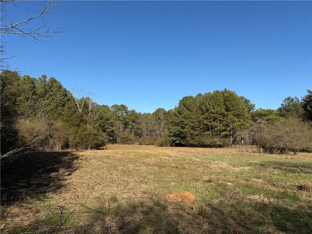unimproved land for sale at 000000 Liberty Church Road, Ranger, GA 30734 — photo 6
