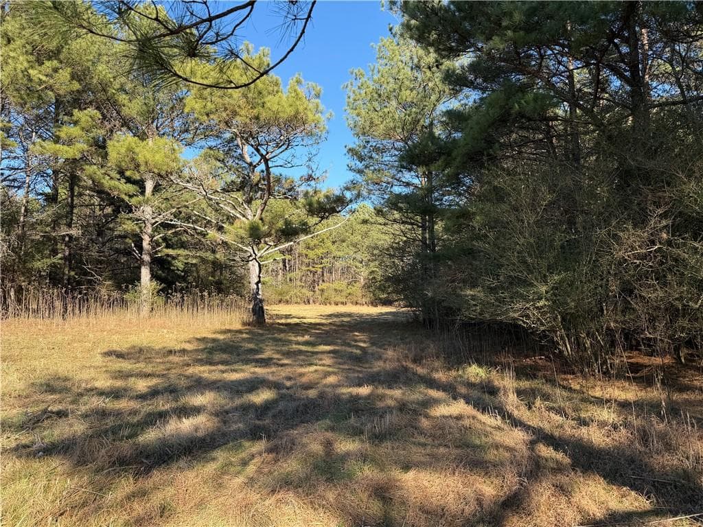unimproved land for sale at 000000 Liberty Church Road, Ranger, GA 30734 — photo 7