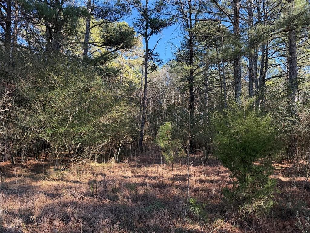 unimproved land for sale at 000000 Liberty Church Road, Ranger, GA 30734 — photo 8