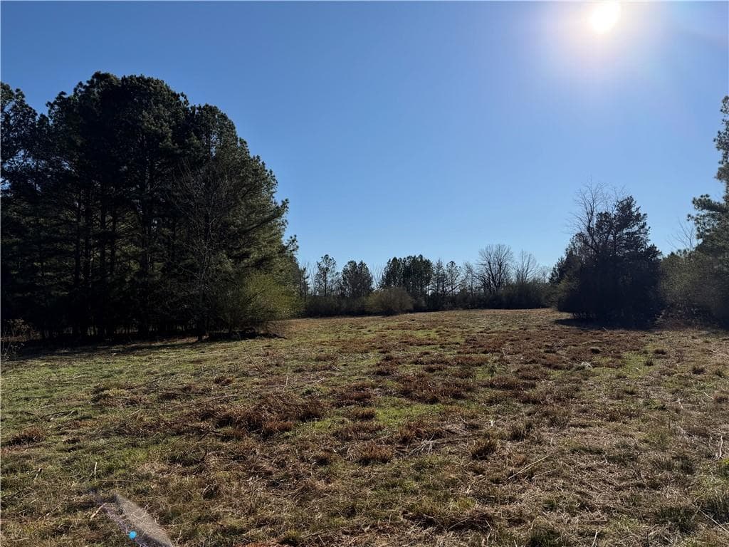 unimproved land for sale at 000000 Liberty Church Road, Ranger, GA 30734 — photo 9