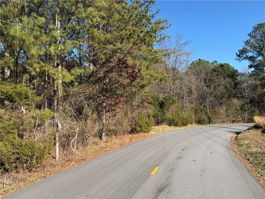 unimproved land for sale at 000000 Liberty Church Road, Ranger, GA 30734 — photo 10