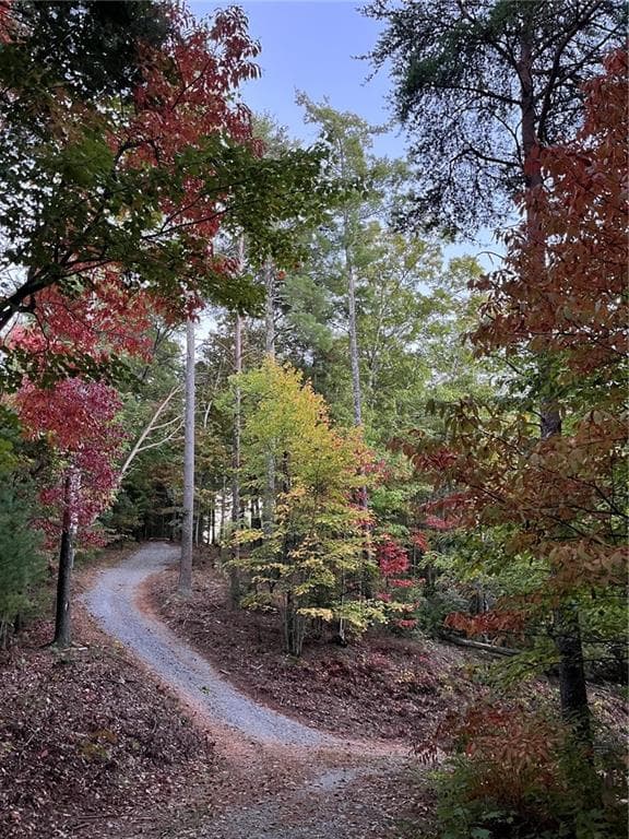 other for sale at 0 Pleasant Hill Trail, Ellijay, GA 30540 — photo 1 of 25