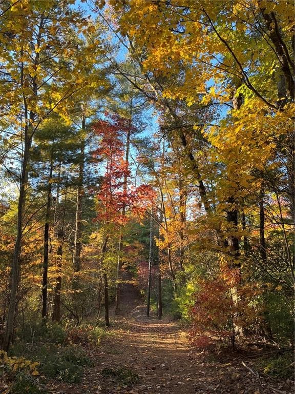 other for sale at 0 Pleasant Hill Trail, Ellijay, GA 30540 — photo 2