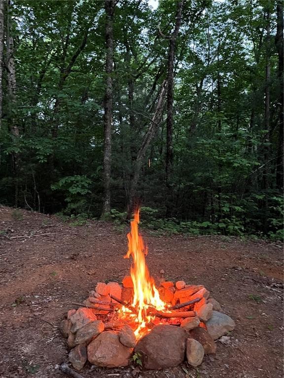 other for sale at 0 Pleasant Hill Trail, Ellijay, GA 30540 — photo 3