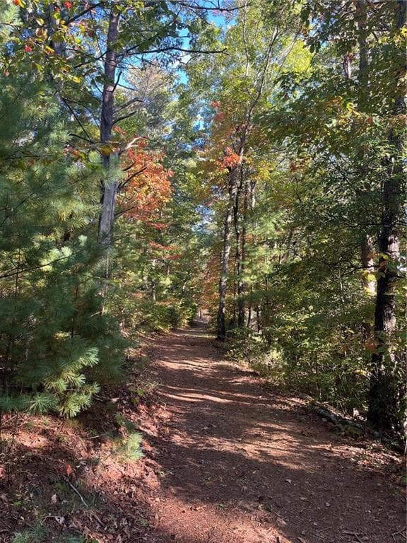 other for sale at 0 Pleasant Hill Trail, Ellijay, GA 30540 — photo 4
