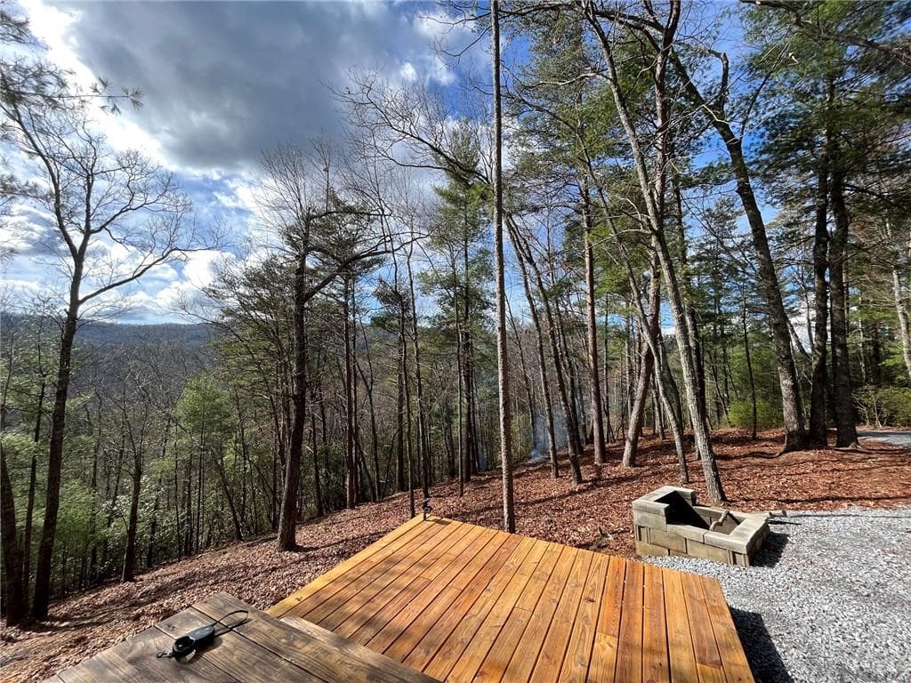 other for sale at 0 Pleasant Hill Trail, Ellijay, GA 30540 — photo 5