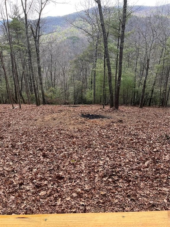 other for sale at 0 Pleasant Hill Trail, Ellijay, GA 30540 — photo 9