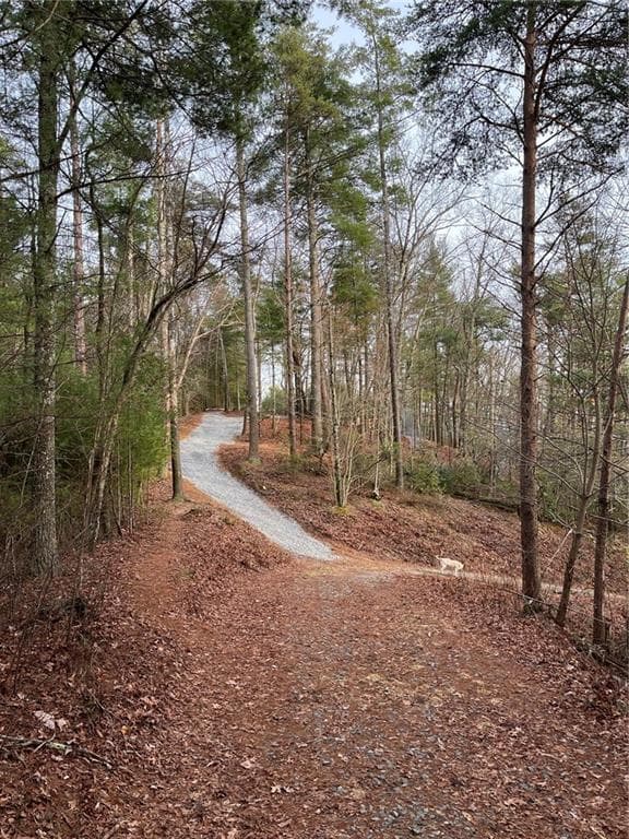 other for sale at 0 Pleasant Hill Trail, Ellijay, GA 30540 — photo 10