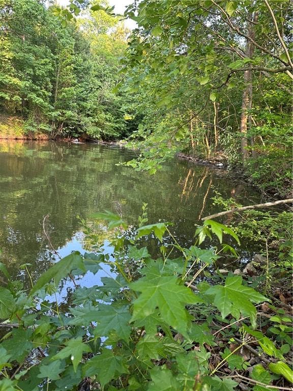 unimproved land for sale at Lot 5 County Road 520, Centre, AL 35960 — photo 5