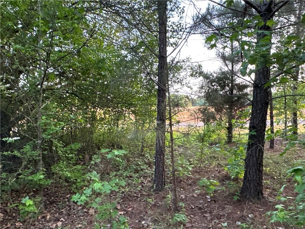 unimproved land for sale at Lot 6 County Road 520, Centre, AL 35960 — photo 5