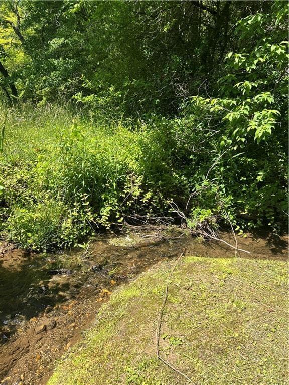 unimproved land for sale at 0 Sunrise Valley Road, Blue Ridge, GA 30513 — photo 3