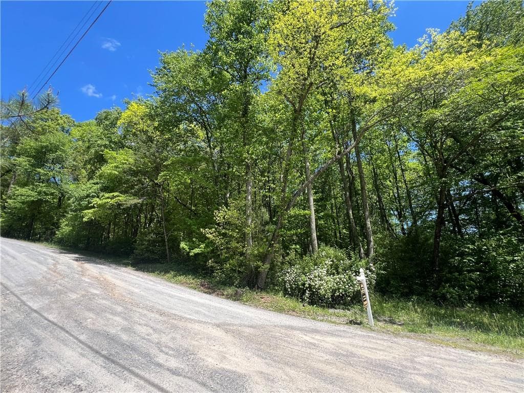 unimproved land for sale at 0 Sunrise Valley Road, Blue Ridge, GA 30513 — photo 1 of 5
