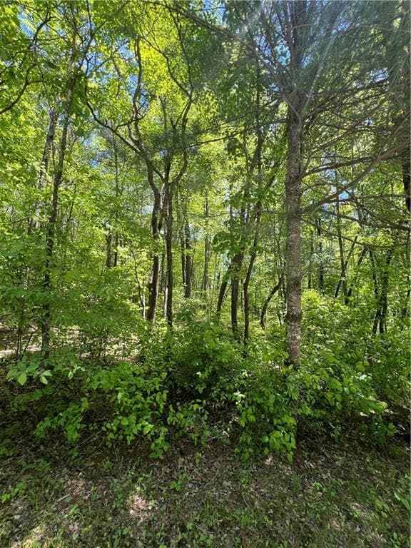 unimproved land for sale at 0 Sunrise Valley Road, Blue Ridge, GA 30513 — photo 4