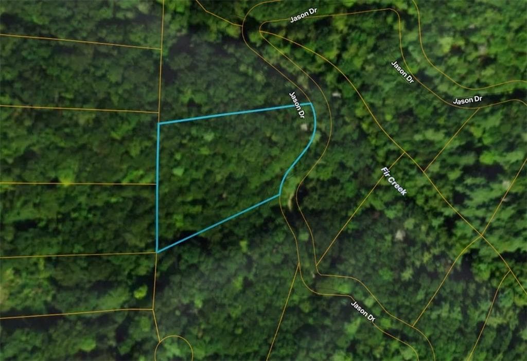 unimproved land for sale at Lot206 Dowel Circle, Ellijay, GA 30540 — photo 3
