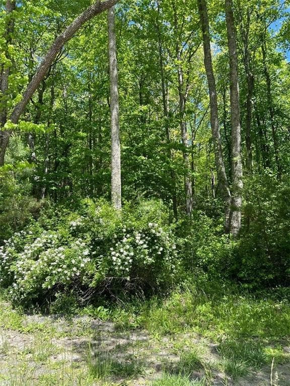 unimproved land for sale at 0 Sunrise Valley Road, Blue Ridge, GA 30513 — photo 2