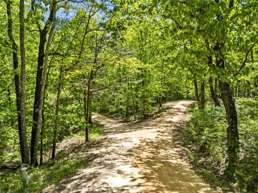 single family residence for sale at 0 Neals Brow Road, Menlo, GA 30731 — photo 4