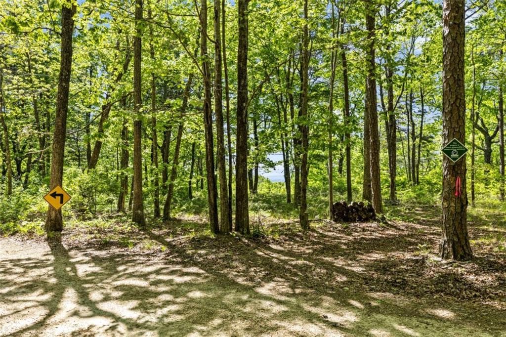 single family residence for sale at 0 Neals Brow Road, Menlo, GA 30731 — photo 5