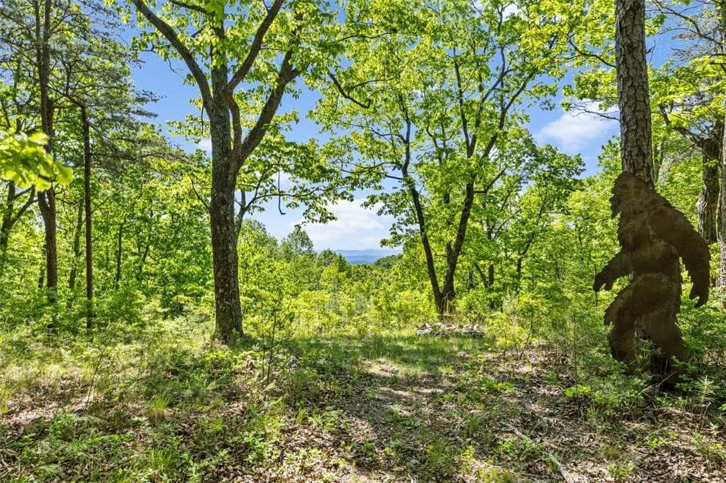 single family residence for sale at 0 Neals Brow Road, Menlo, GA 30731 — photo 6