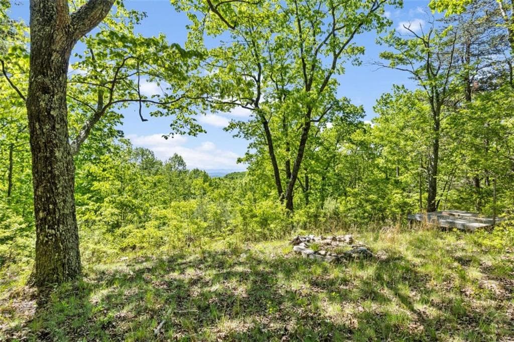 single family residence for sale at 0 Neals Brow Road, Menlo, GA 30731 — photo 7