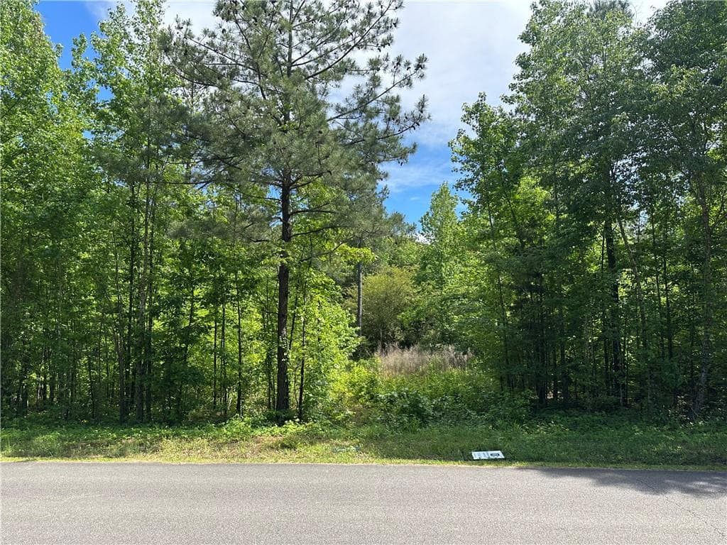 unimproved land for sale at 127 Sam Sutton Road, Adairsville, GA 30103 — photo 2