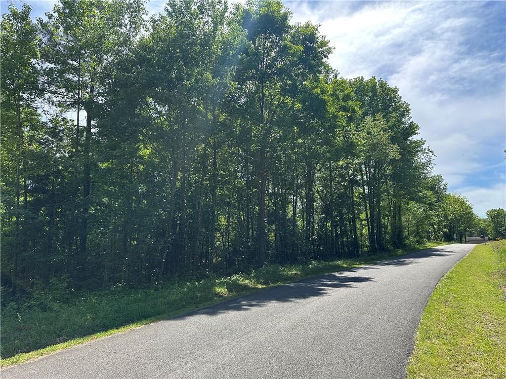 unimproved land for sale at 127 Sam Sutton Road, Adairsville, GA 30103 — photo 3