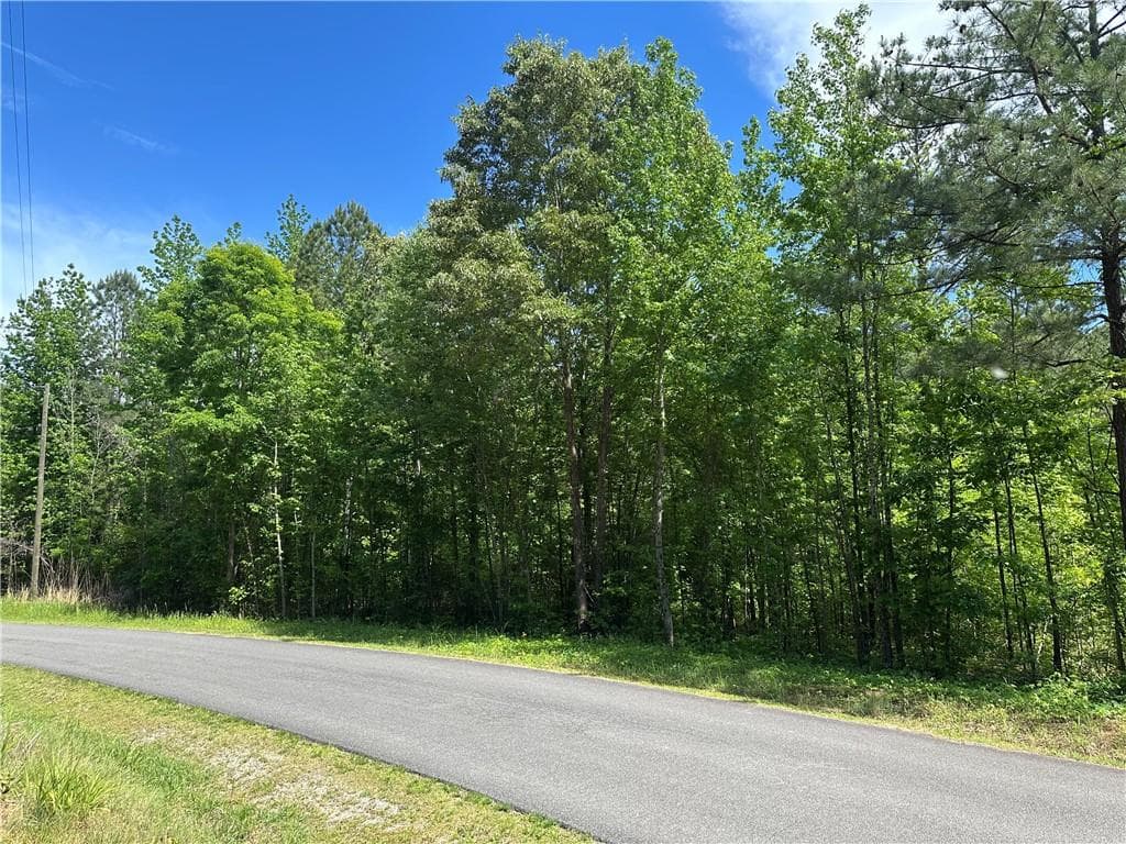 unimproved land for sale at 127 Sam Sutton Road, Adairsville, GA 30103 — photo 4