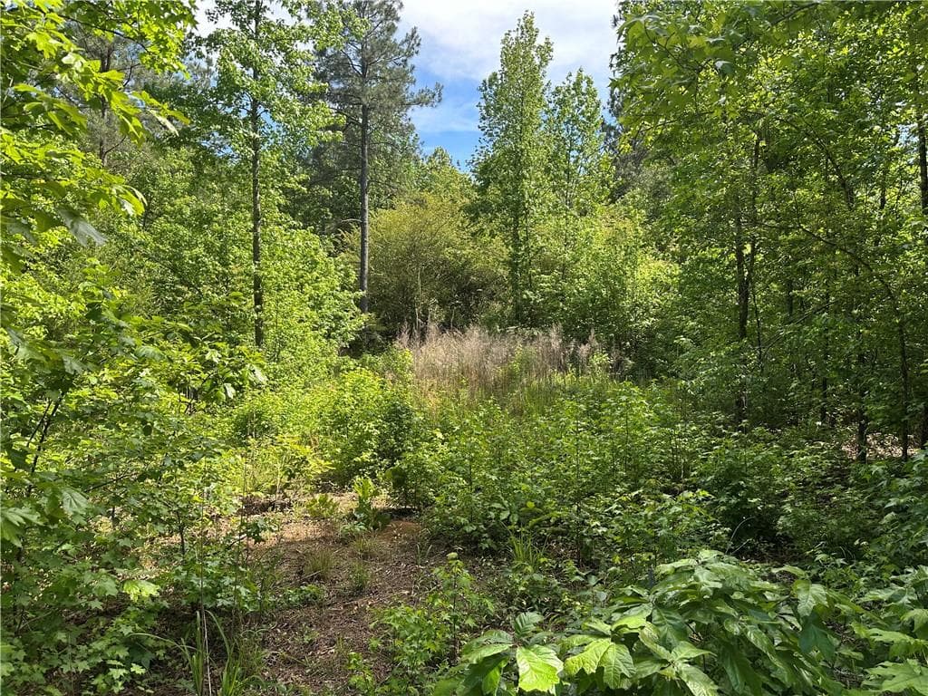 unimproved land for sale at 127 Sam Sutton Road, Adairsville, GA 30103 — photo 5