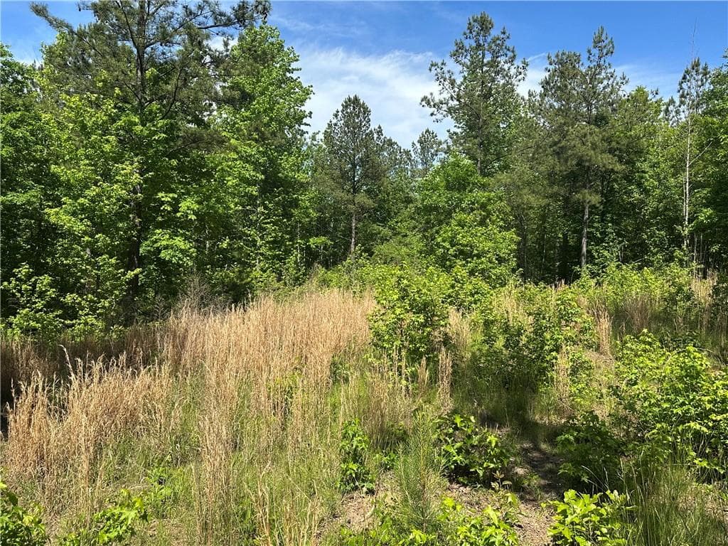 unimproved land for sale at 127 Sam Sutton Road, Adairsville, GA 30103 — photo 6