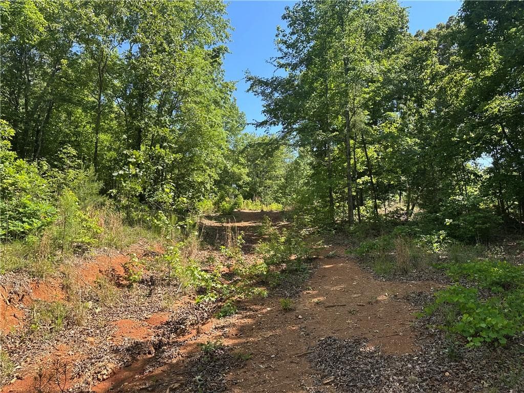 unimproved land for sale at 127 Sam Sutton Road, Adairsville, GA 30103 — photo 7