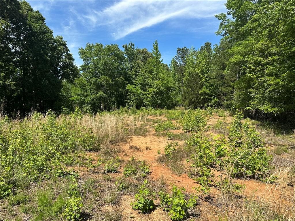 unimproved land for sale at 127 Sam Sutton Road, Adairsville, GA 30103 — photo 8