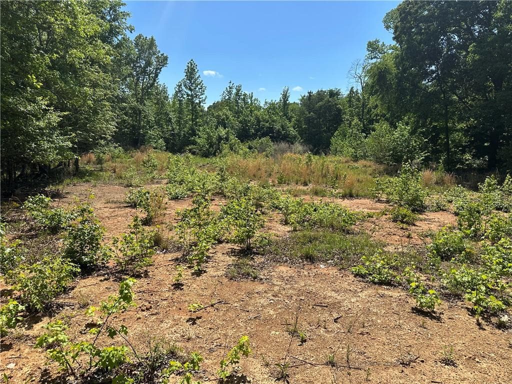 unimproved land for sale at 127 Sam Sutton Road, Adairsville, GA 30103 — photo 9